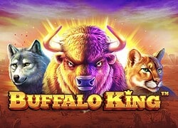 Buffalo King Nitro Casino Slot  Nitro Casino Online