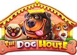 Dog House Nitro Casino Game  Nitro Casino Online